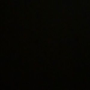 Meet your Posher, Reece